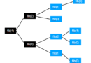 Algorithmische Techniken – Brute Force, Greedy, Teile und Herrsche, Dynamische Programmierung und Backtracking