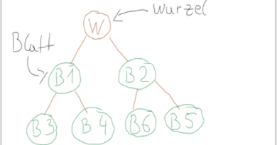 Binäre Suchbäume in der Informatik einfach erklärt